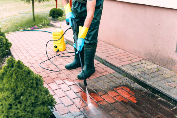 Best Pressure Washing Siding  in Port Clinton, OH